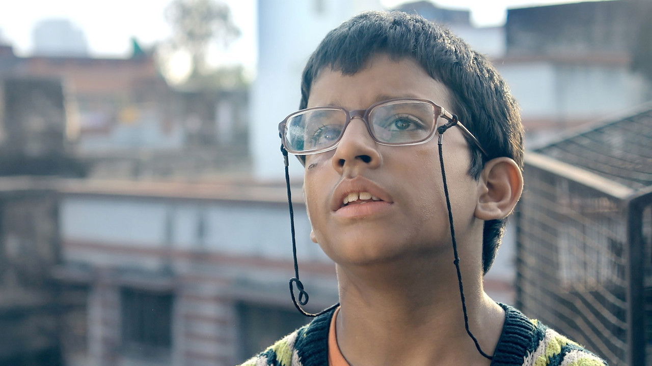 Rainbow Jelly backdrop