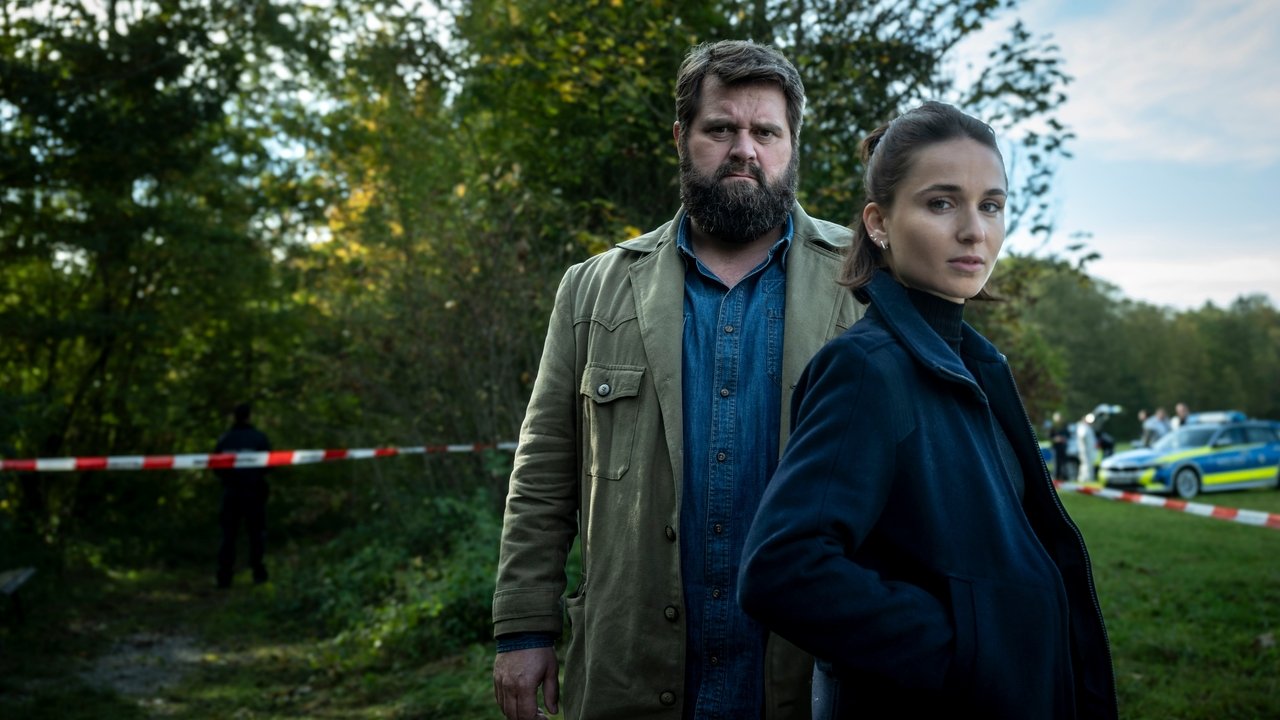 Behringer und die Toten - Ein Bamberg-Krimi backdrop