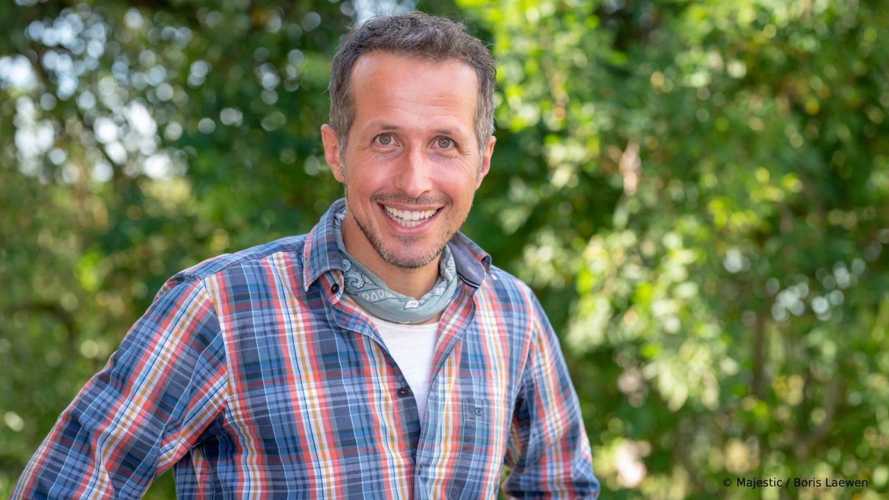 Willi wills wissen backdrop