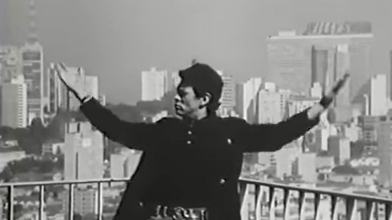 São Paulo: Symphony and Cacophony backdrop