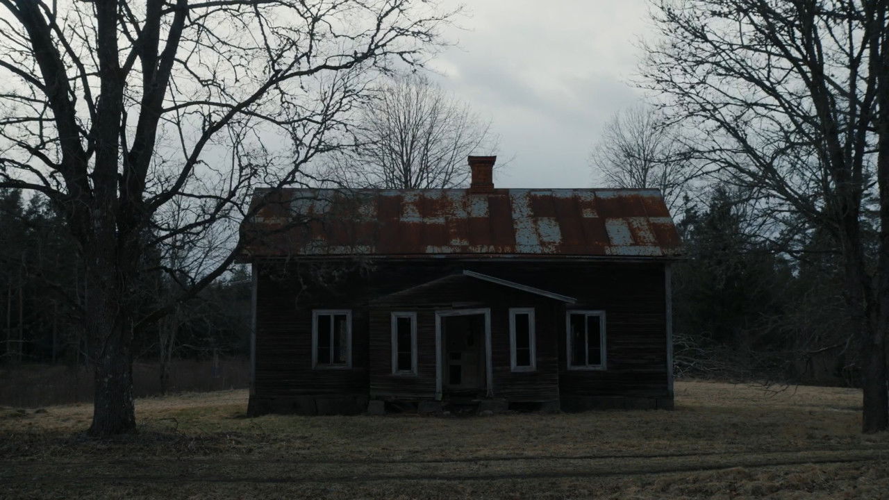 Zwischenjahren backdrop