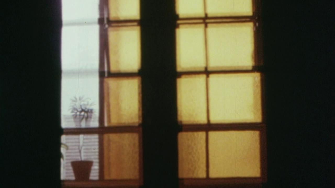 Through the Ruins backdrop