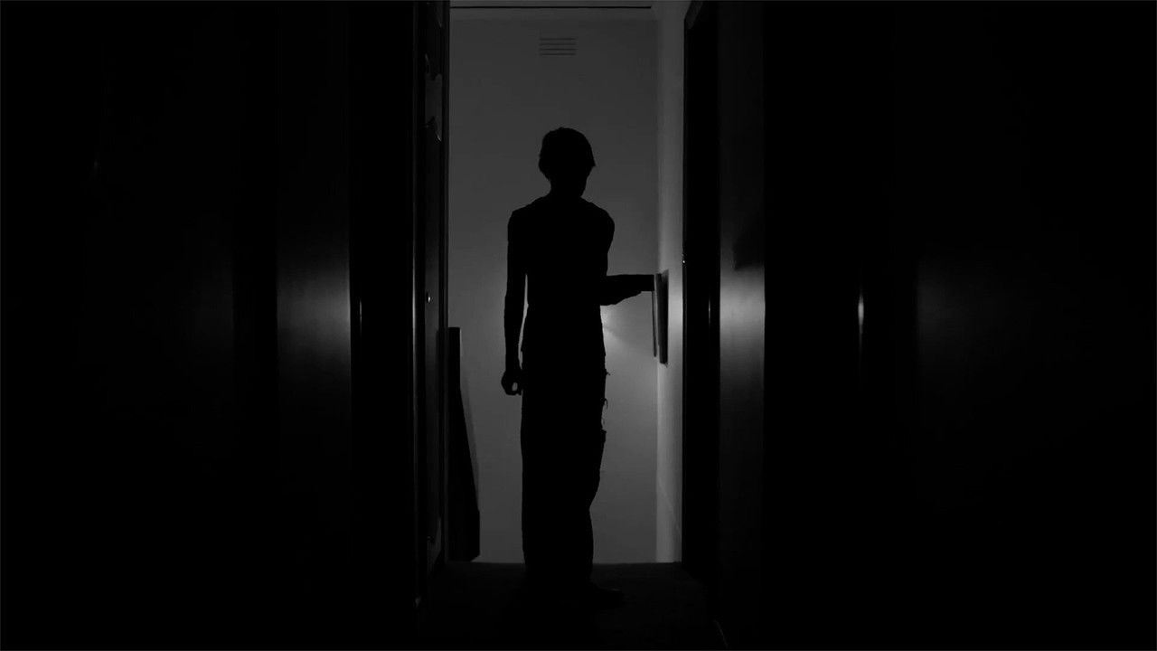 Amissa Anima backdrop