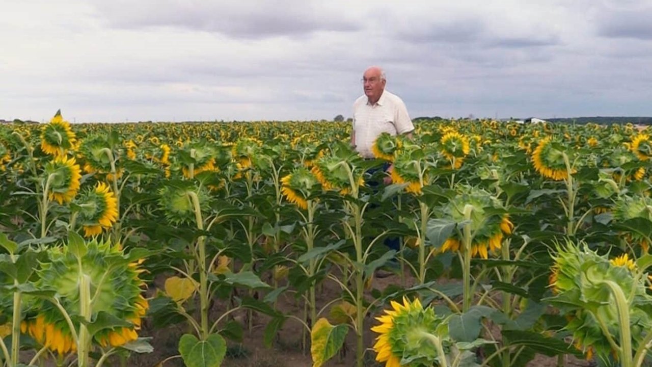 Beau comme un tracteur backdrop