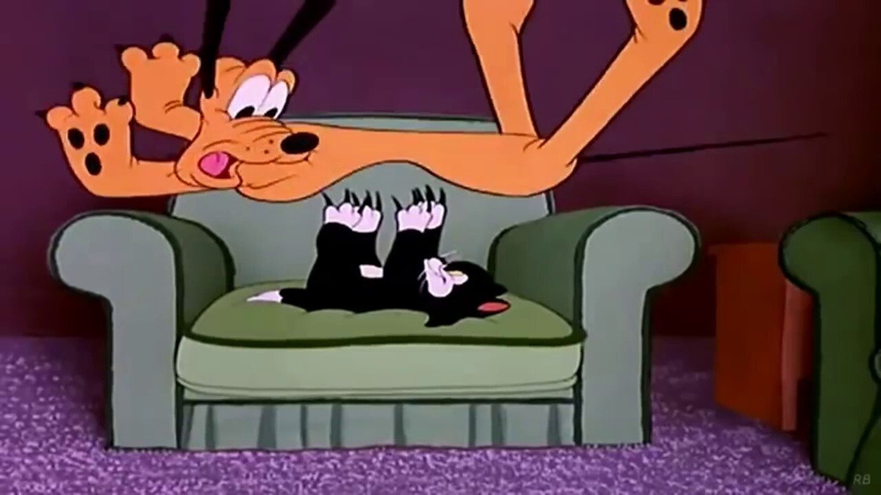 Cat Nap Pluto backdrop