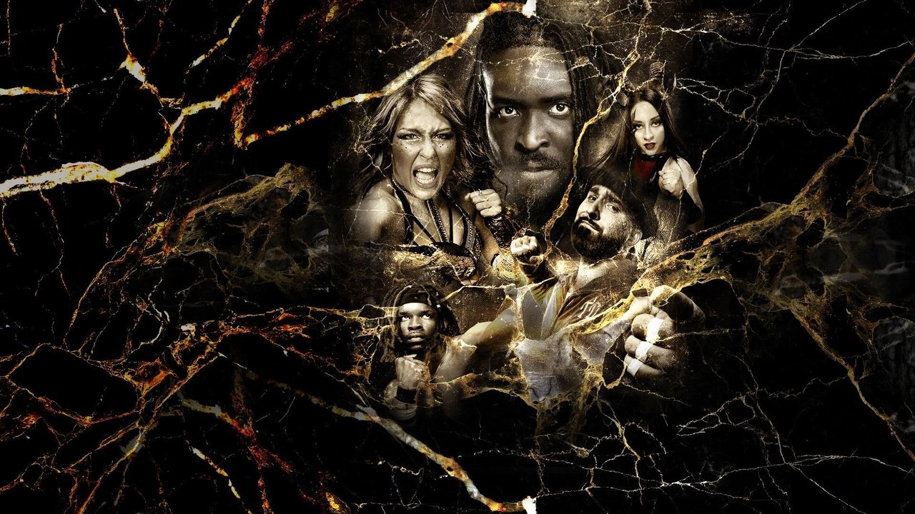 NXT Vengeance Day 2025 backdrop