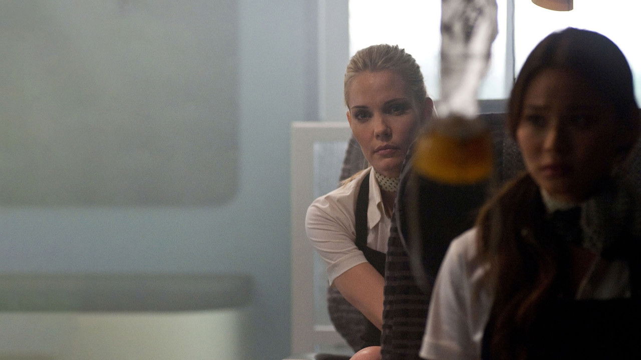 Flight 7500 backdrop