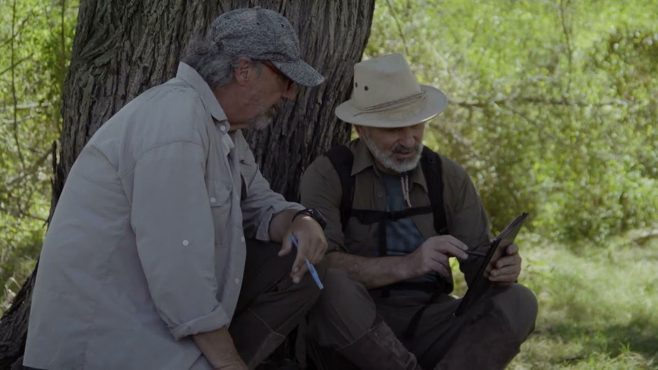 Caían del cielo backdrop