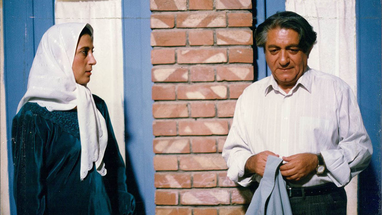 The Blue-Veiled backdrop