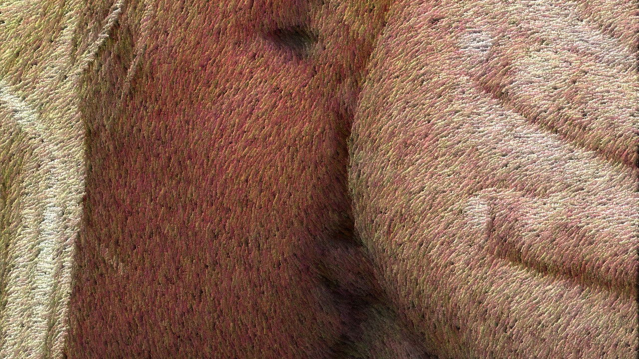 Rough Sex 2 backdrop