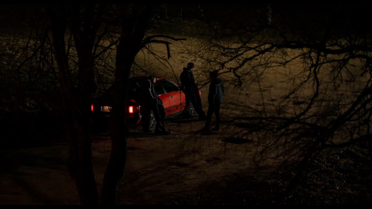 Let's Fight backdrop