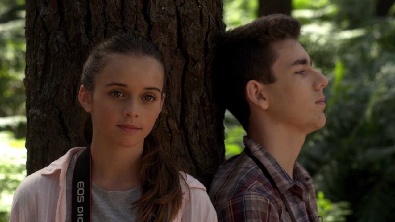 Newton's Third Law backdrop