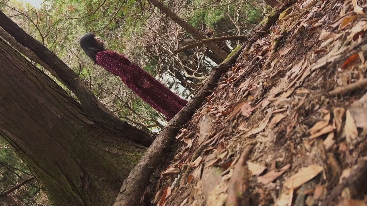 Koji Shiraishi's Never Send Me, Please backdrop