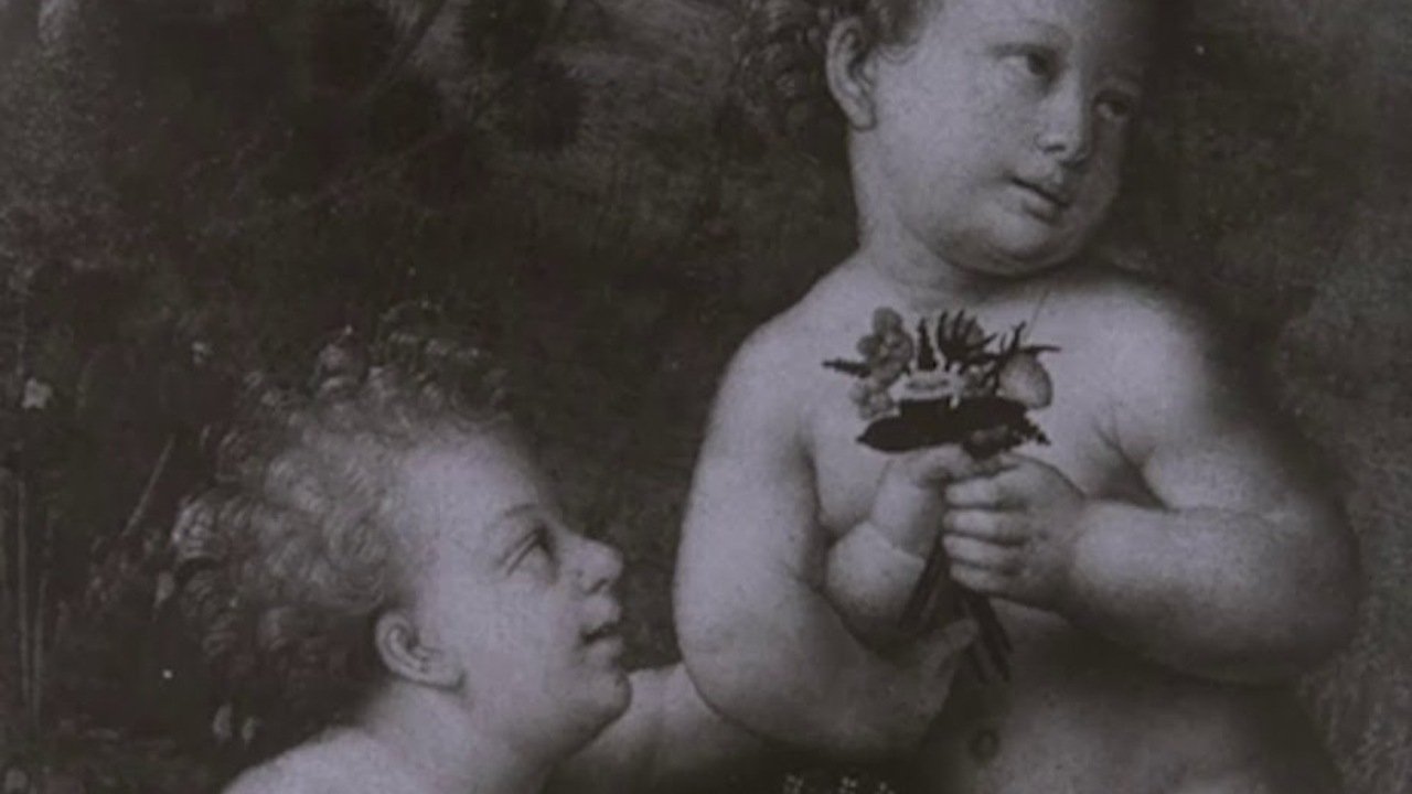 Leonardo Da Vinci The Tragic Pursuit of Perfection backdrop