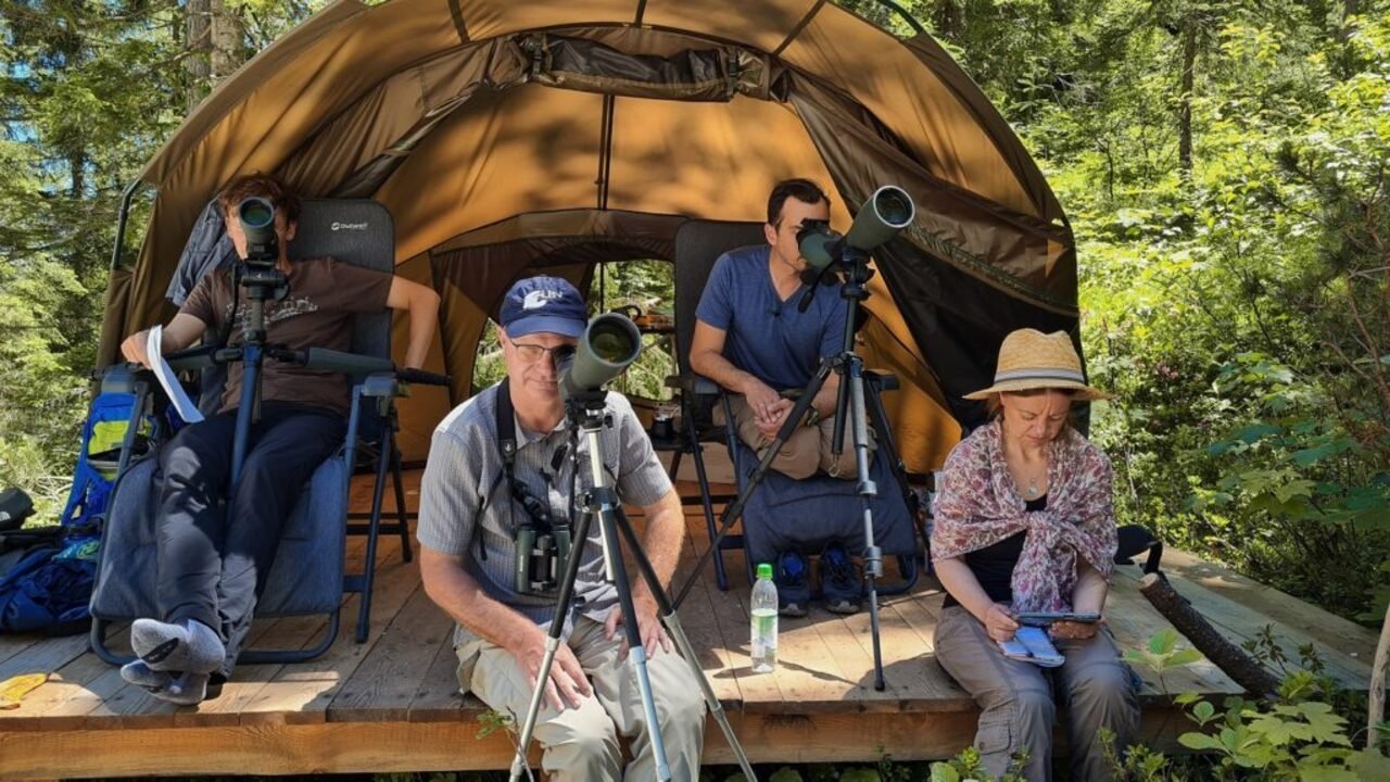 Bird's Eyeview backdrop