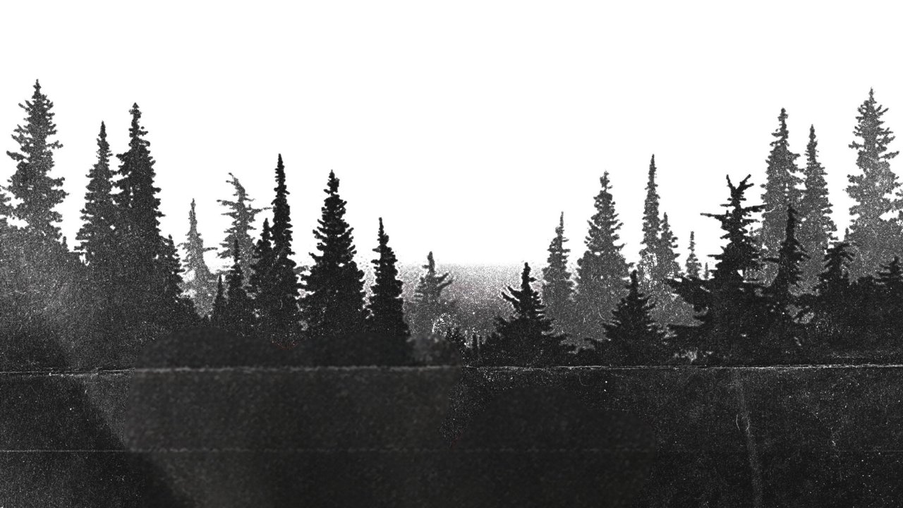 Night Shoot backdrop