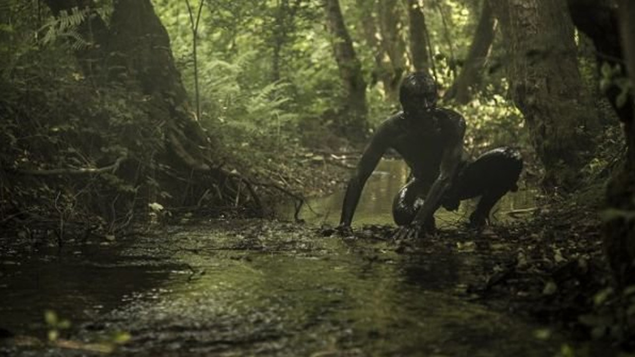 The Book Of Vision backdrop