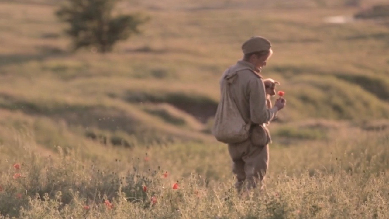 Последствия войны backdrop