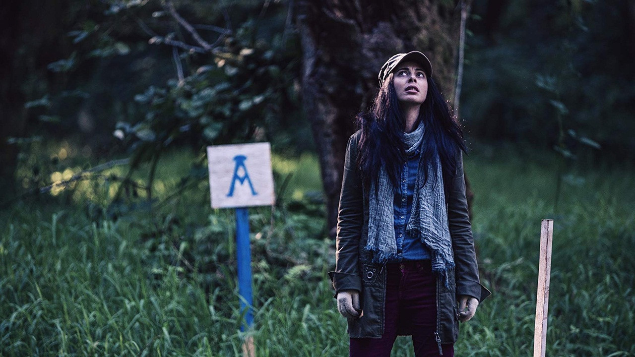 The Shasta Triangle backdrop