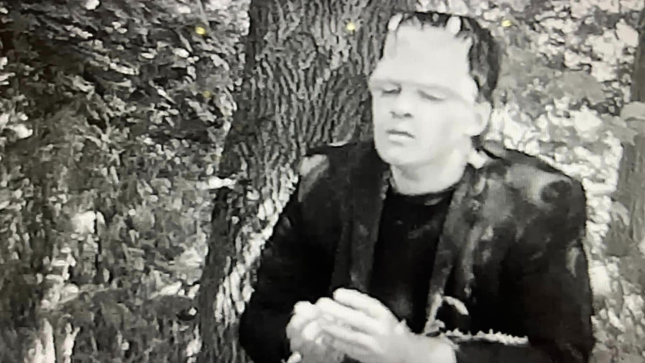 Frankenstein Meets the Mummy backdrop