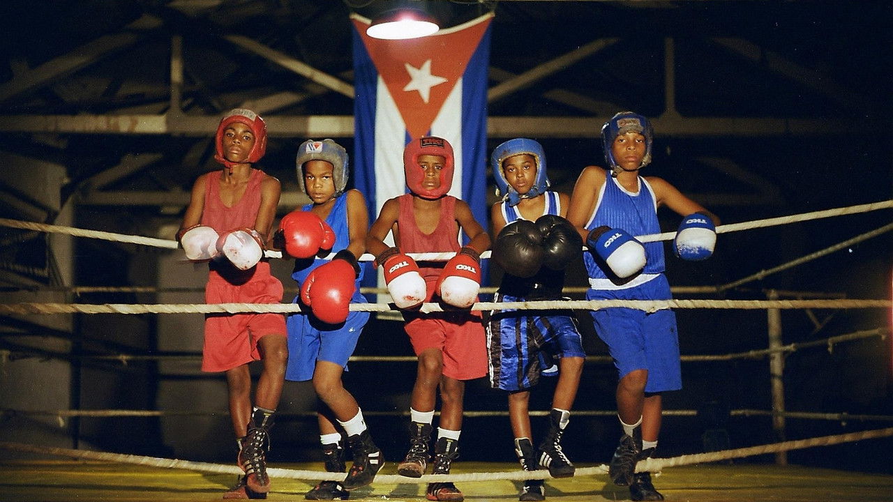 Sons of Cuba backdrop