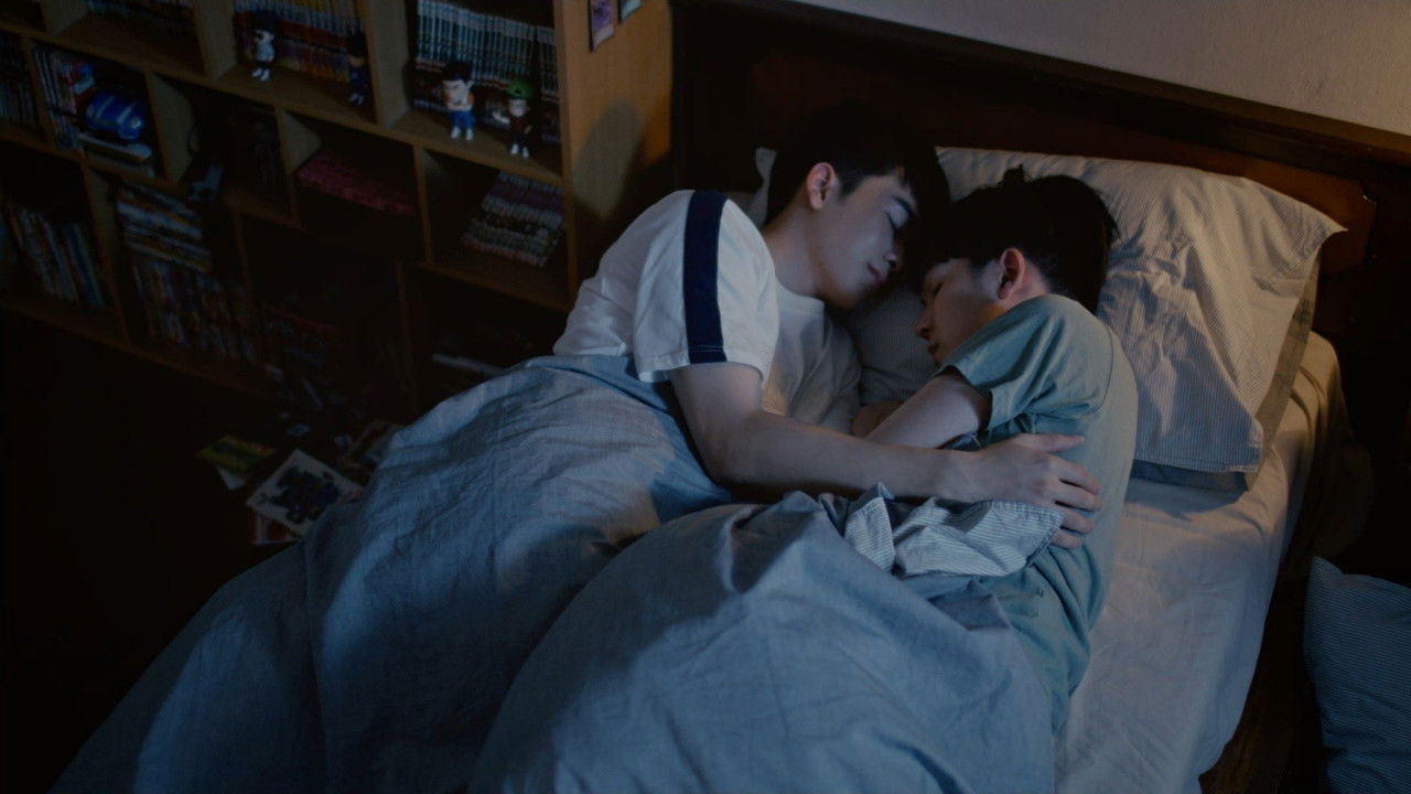 My Only 12% backdrop