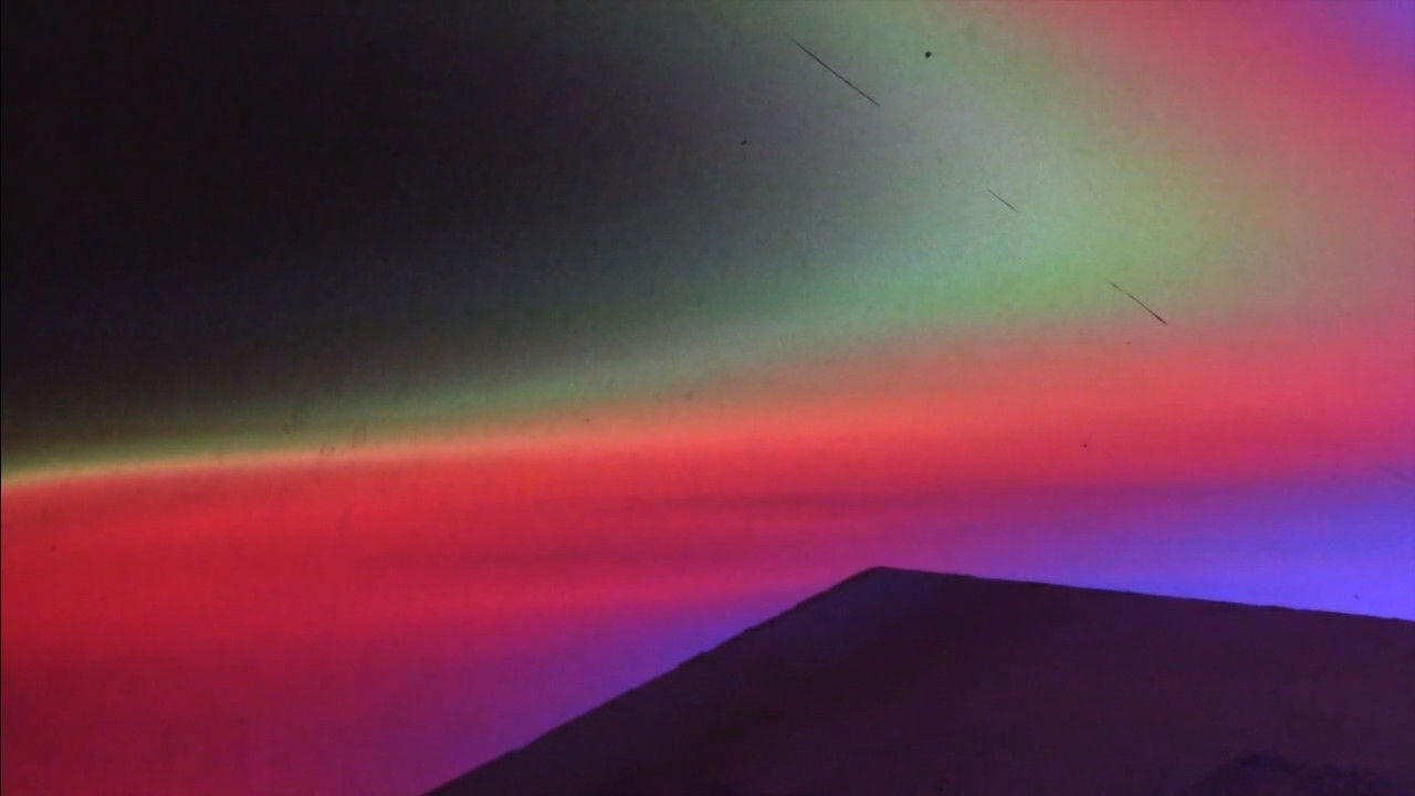 Paradise Loop backdrop