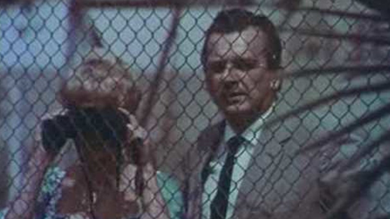 The Magnificent Tony Carrera backdrop