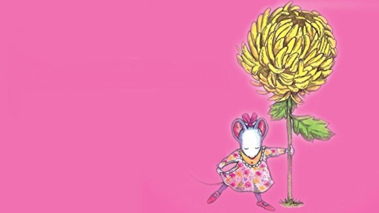 Chrysanthemum backdrop