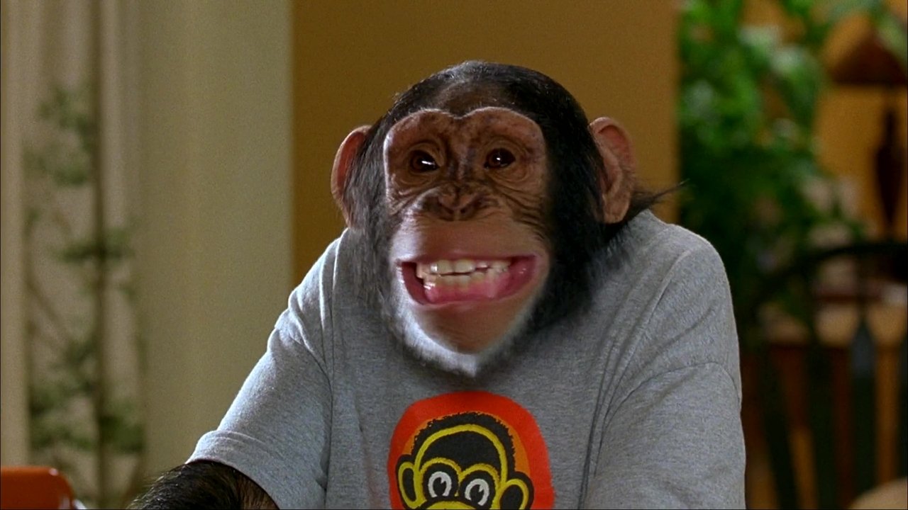 MXP: Most Xtreme Primate backdrop