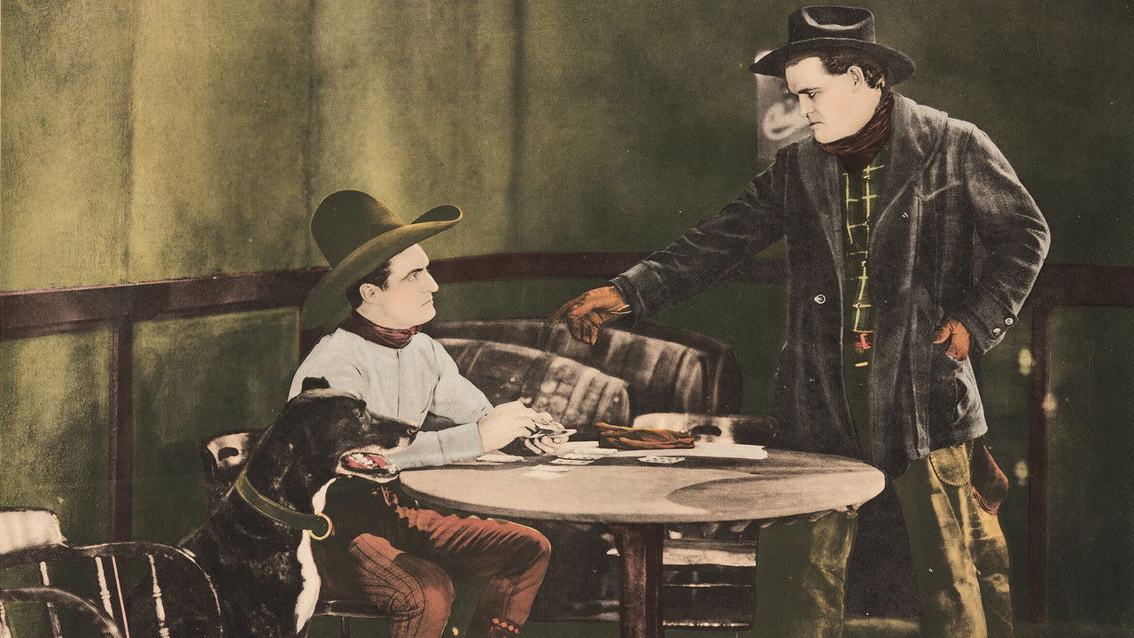 The Night Horsemen backdrop