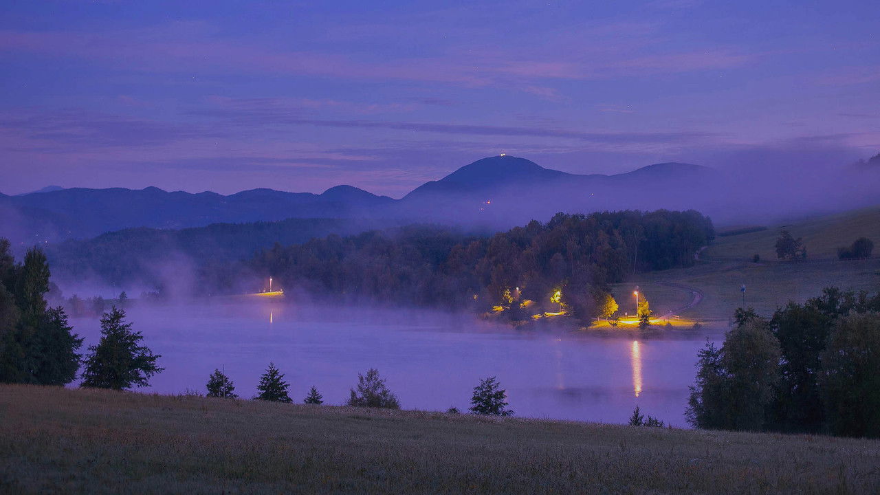 Birds of the Lakes Return backdrop
