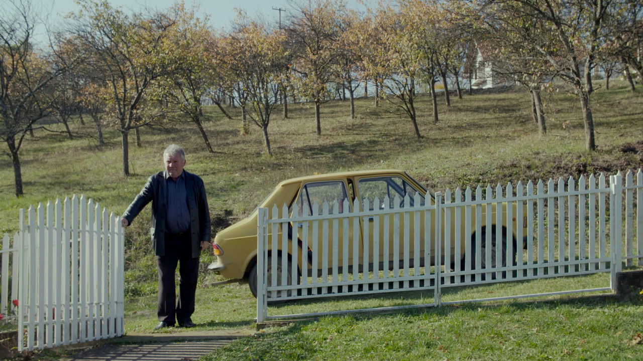 Back to Visegrad backdrop