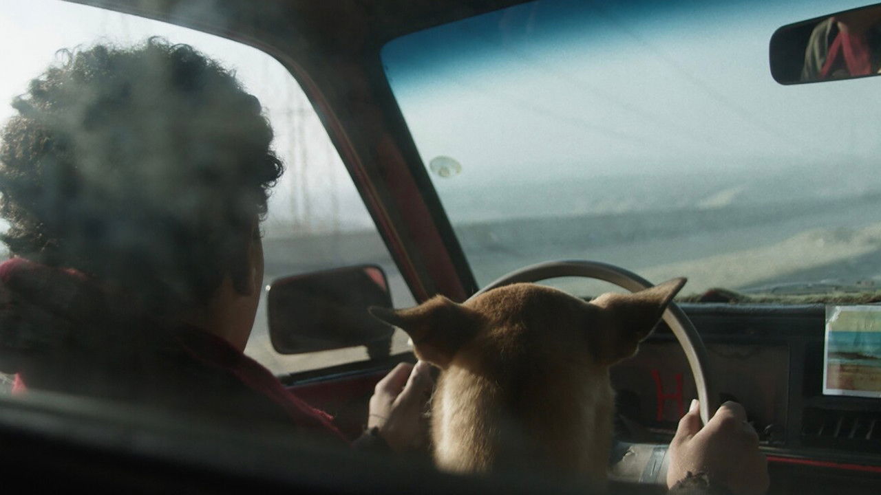 A Promise to the Sea backdrop