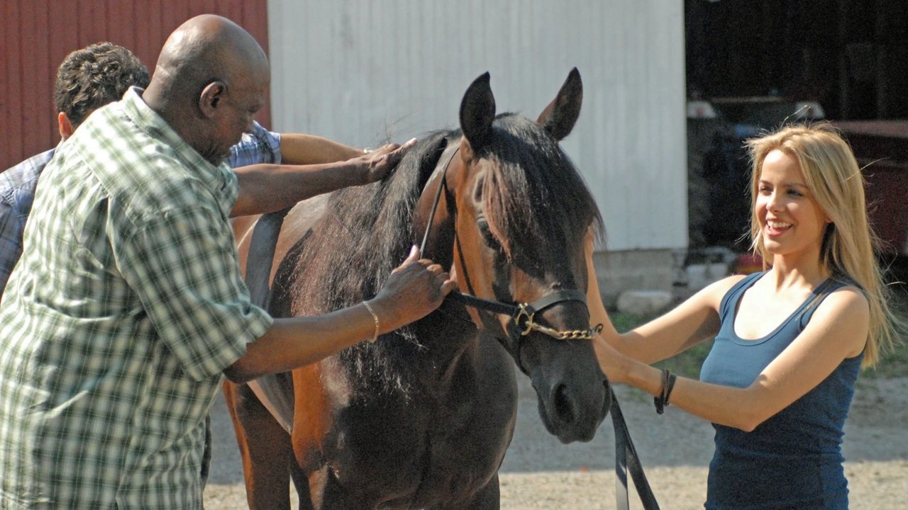 Amazing Racer backdrop