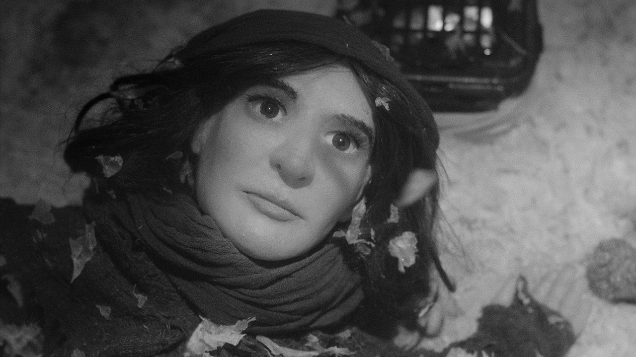 Amazing Grace backdrop