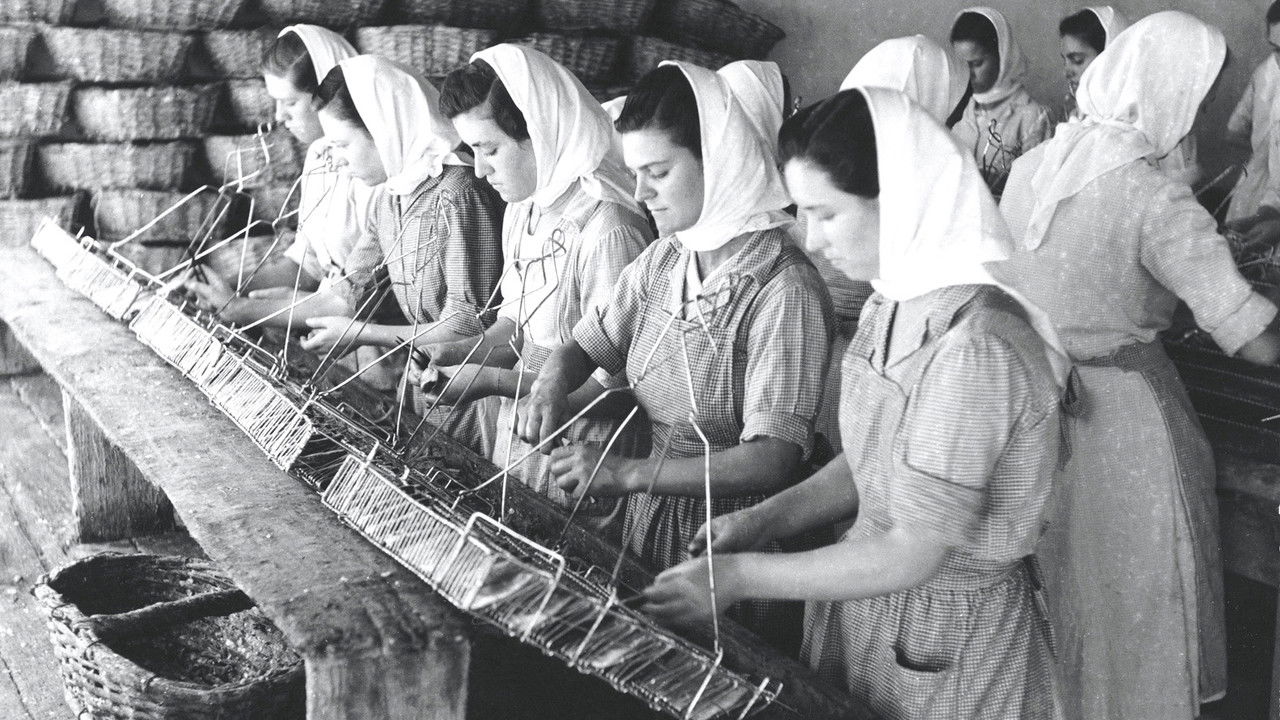 A História da Indústria em Portugal backdrop