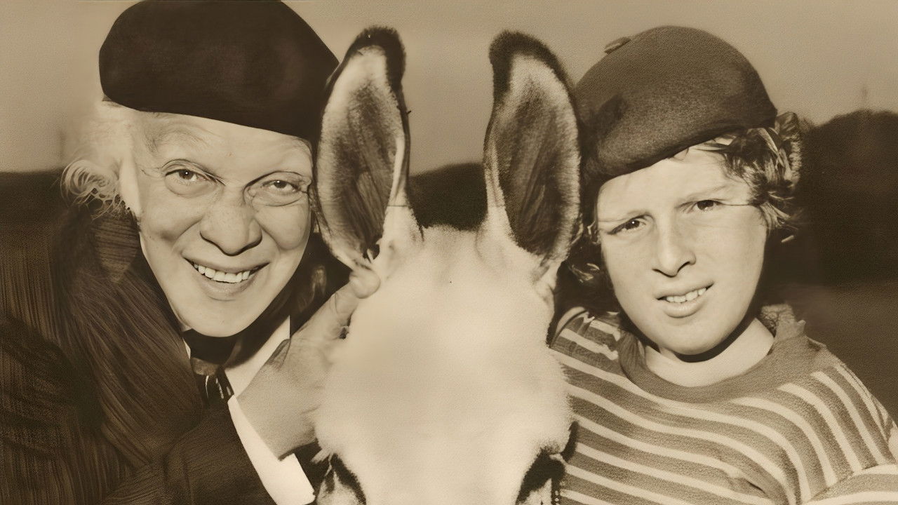 O Velho, o Menino e o Burro backdrop