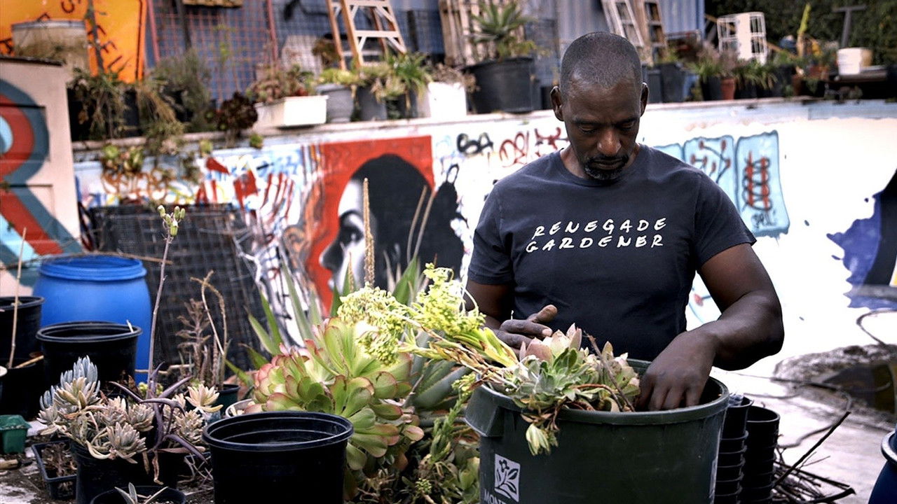 Can You Dig This backdrop