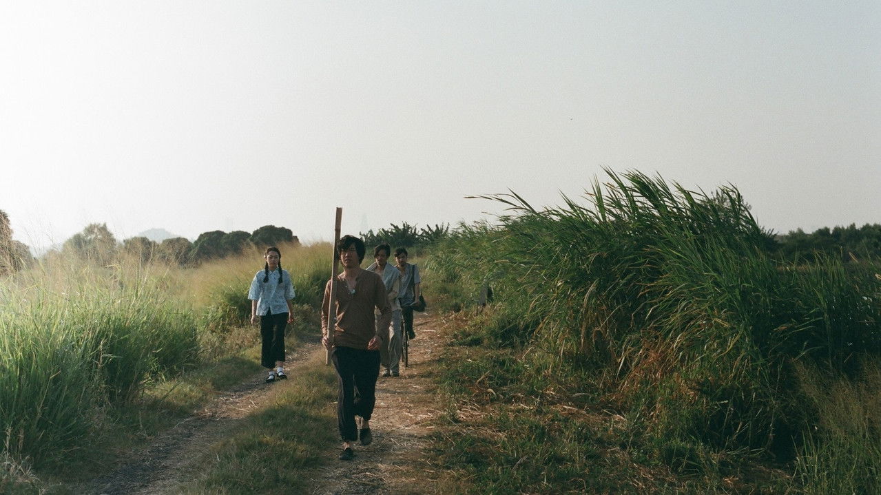 Moonrise After backdrop