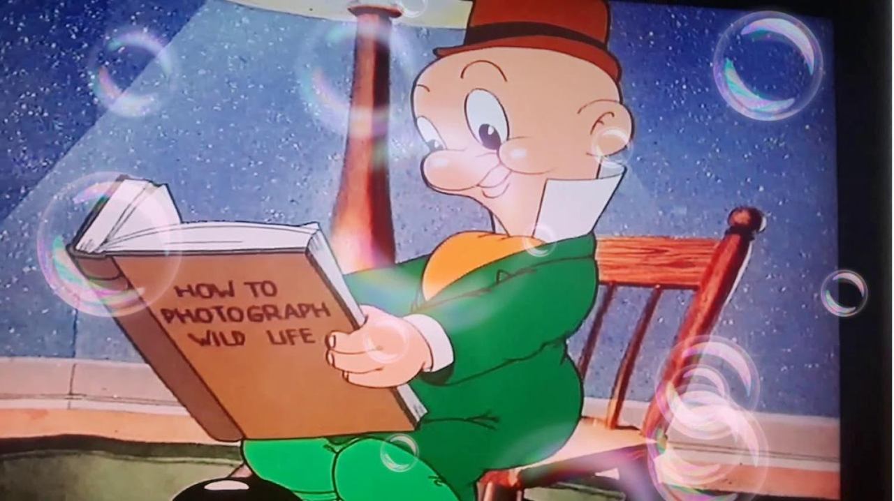 Looney Tunes Spotlight Collection: The Premiere Edition backdrop