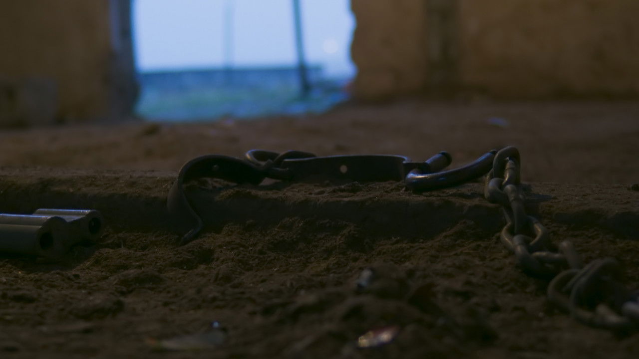 Inner Odyssey backdrop