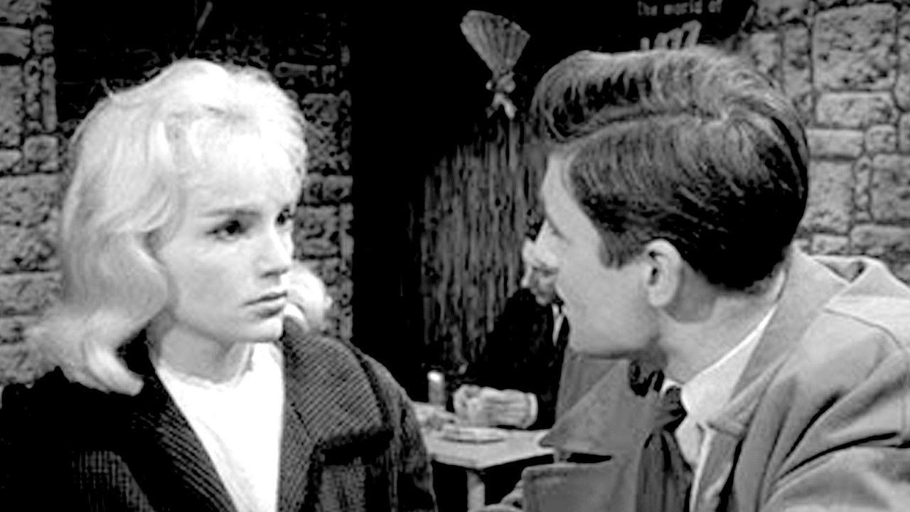 Out of the Fog backdrop