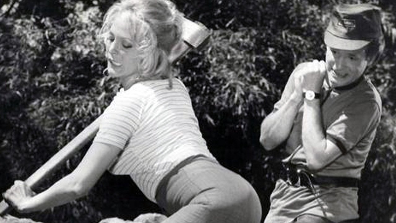 El profesor erótico backdrop