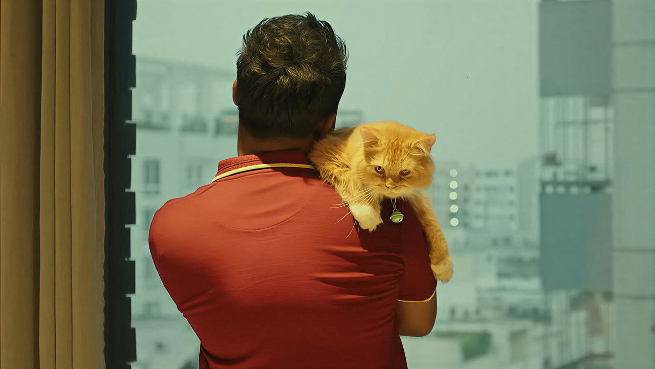 Love Sitter backdrop