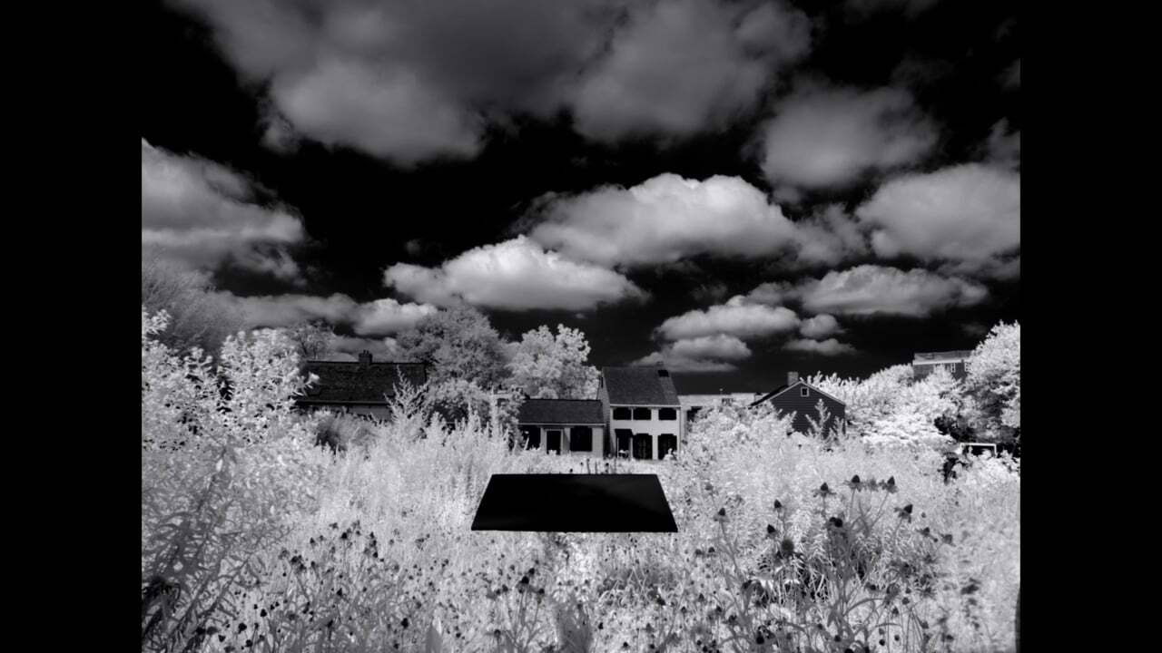 Letter to the Free backdrop