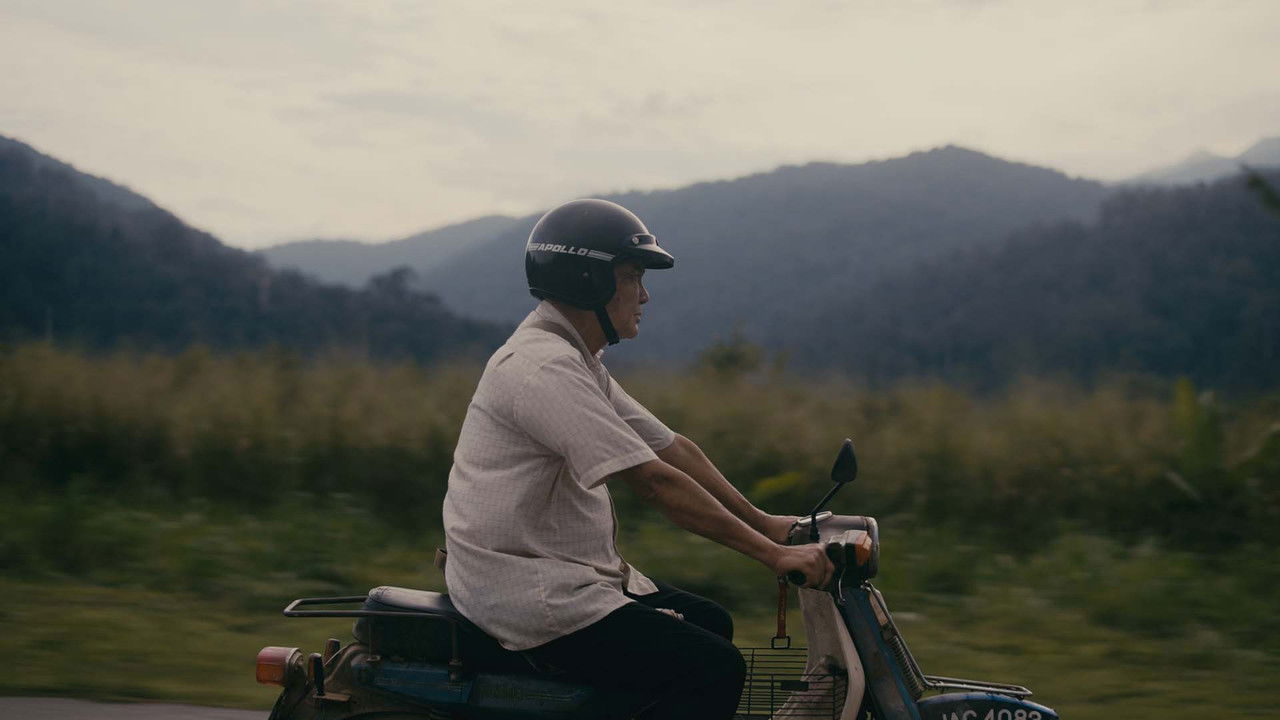 Durian Trees backdrop