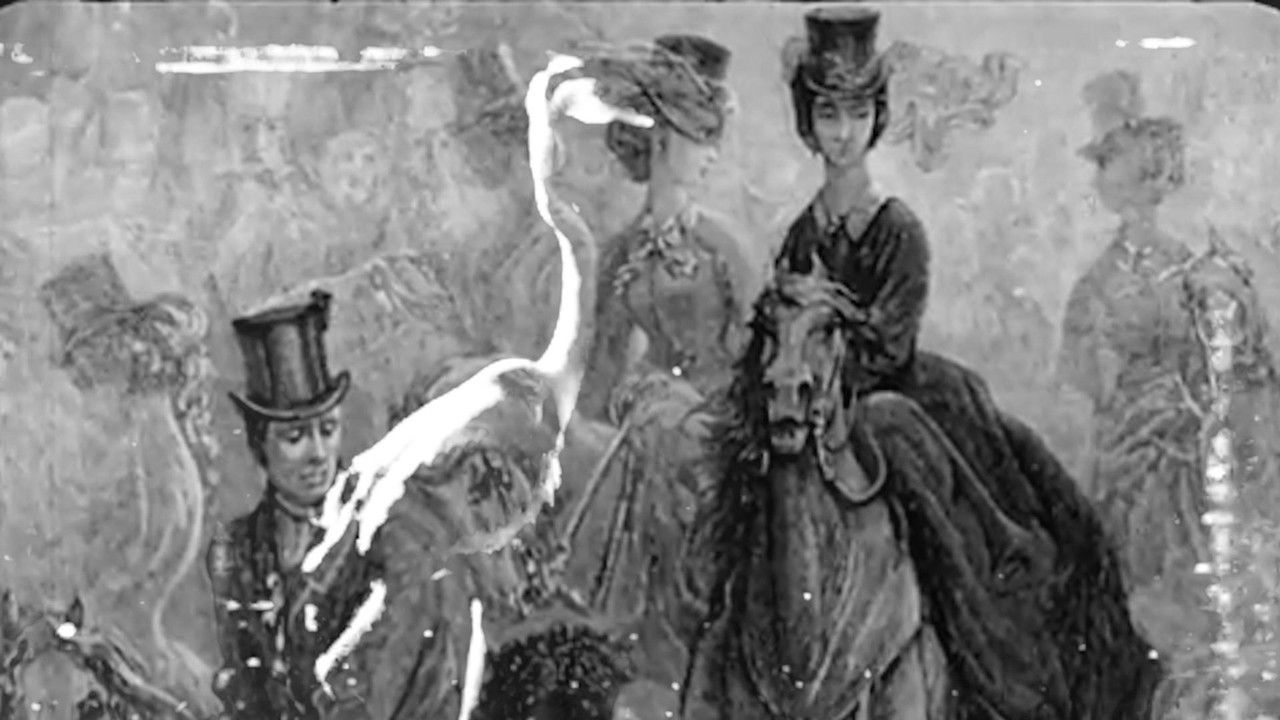 Some Thoughts On The Common Toad backdrop