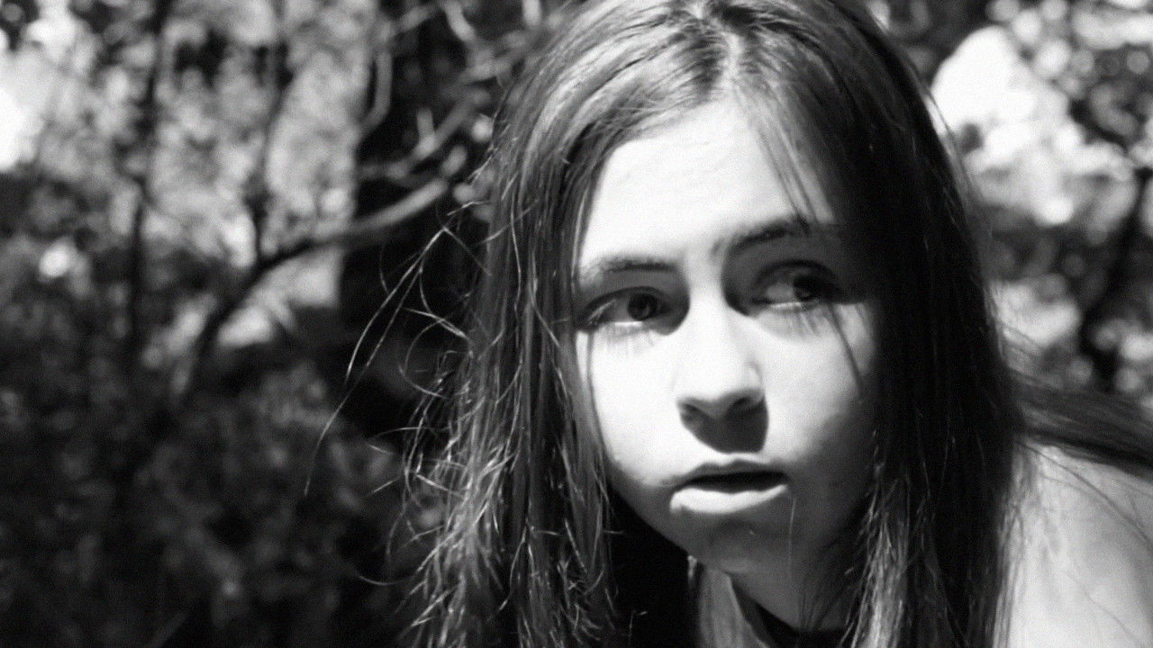 Hide and seek backdrop