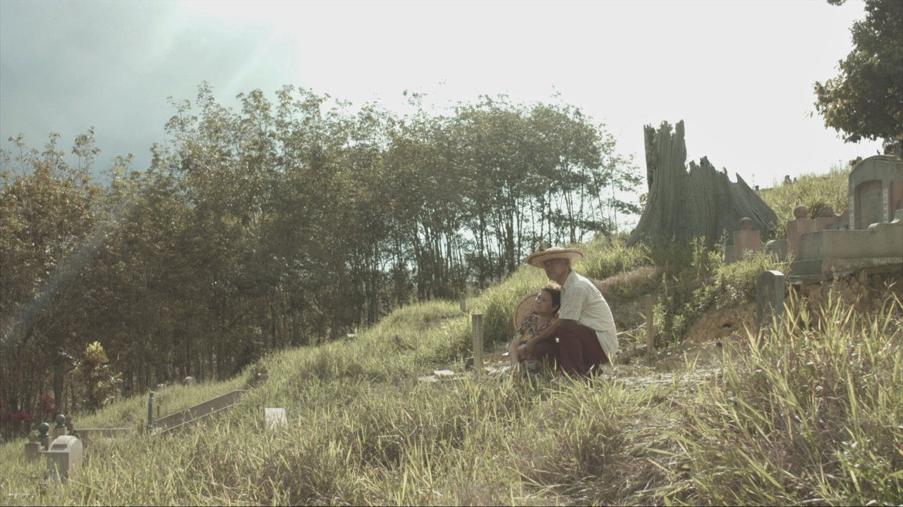 Weeping Birds backdrop